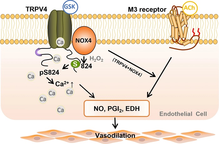 /crm/product/image/20220502/1651548841110039881.jpg 1651548841110039881.jpg