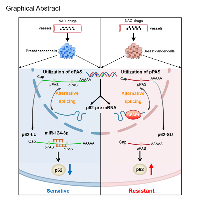 /crm/product/image/20220926/1664245536432003982.png 1664245536432003982.png