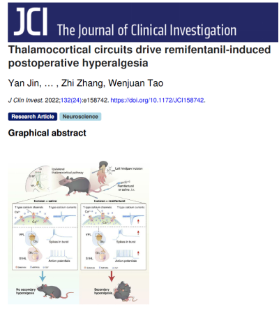 /crm/product/image/20230301/1677726367051026119.png 1677726367051026119.png