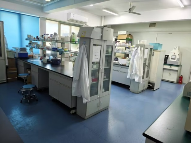 /crm/product/image/20251217/1766020778355063680.png /crm/product/image/20251217/1766020778355063680.png